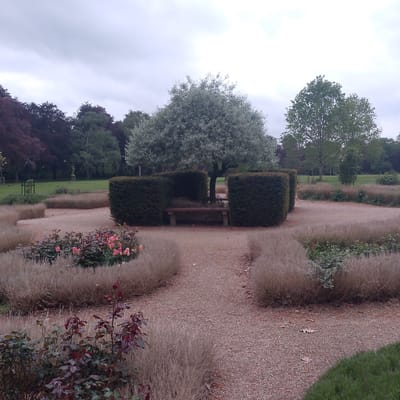 This image depicts a garden scene, likely located in Coventry, United Kingdom. The foreground features a gravel path leading towards a bench that is situated between square, dark-green hedges. In front of the hedges, there is a tree with a silvery canopy. Flowerbeds, featuring a mix of pink and other flowers, line the path. Further back, there is a grassy area with various trees, including some with purple foliage. The sky is overcast, suggesting a cloudy day. There are no people visible in the frame.