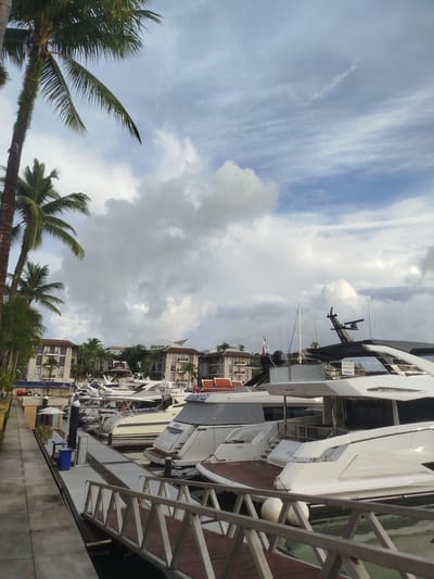 This is a full, eye-level shot of a marina in Ko Kaeo, Thailand, under a cloudy sky. The marina is lined with several multi-story buildings and palm trees. Numerous white yachts of varying sizes are docked along the wooden pier, with a gangway leading from the foreground to the boats. The water is dark and calm, reflecting the sky and the boats. The scene is well-lit, suggesting it is daytime. No people are visible in the image.