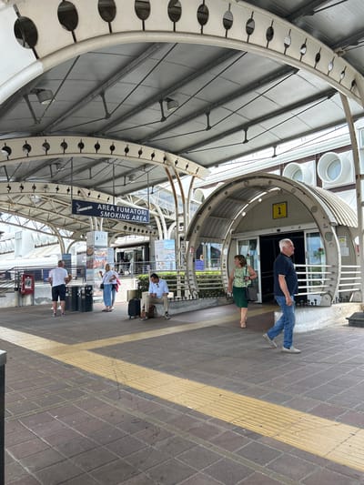 This media file depicts an outdoor scene at a train station in Lamezia Terme, Italy. The image is oriented vertically, showing a perspective looking up towards a covered walkway. The architecture features a prominent curved metal structure with circular cutouts, supporting a translucent roof.

Several people are visible, appearing to be waiting or passing through. In the foreground, a man in a dark t-shirt and blue jeans stands facing away from the camera, looking towards an entrance. To his left, a woman in a green floral top and dark skirt is also looking towards the entrance. Further down the platform, other individuals are seated or standing, some with luggage.

A sign with blue and white text reads "AREA FUMATORI SMOKING AREA" and includes a graphic of a cigarette. The ground is paved with brick-like tiles, with a yellow tactile paving strip running alongside the platform edge. The time of day appears to be daytime, likely with bright sunlight given the shadows. The overall atmosphere suggests a functional transport hub.
