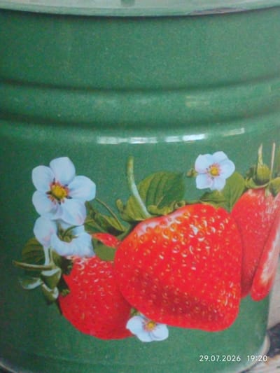 The image is a close-up, low-angle shot of a green container, possibly a bucket or a pot, with a painted design of strawberries and white flowers. The strawberries are depicted in bright red with visible seeds, and the flowers have five petals with yellow centers. The background is a solid, textured green. In the bottom right corner, a timestamp is visible: "29.07.2026 19:20". There are no people or discernible actions taking place. The image appears to be a photograph of a decorative item. The location in the city of Раззаков, Kyrgyzstan, is not visually represented in the image itself.