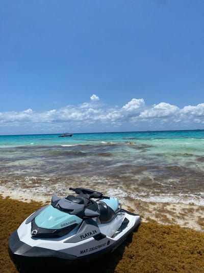 The image shows a Sea-Doo personal watercraft, specifically a GTX 300 model, resting on a beach covered in seaweed. The beach is in Playa del Carmen, Mexico, as indicated by "Playa 24" printed on the side of the watercraft. The registration number "MAT: 23052784147" is also visible. In the background, the turquoise ocean stretches towards the horizon under a clear blue sky with scattered white clouds. A small boat can be seen in the distance. The overall scene depicts a sunny day at the beach with a focus on the personal watercraft.