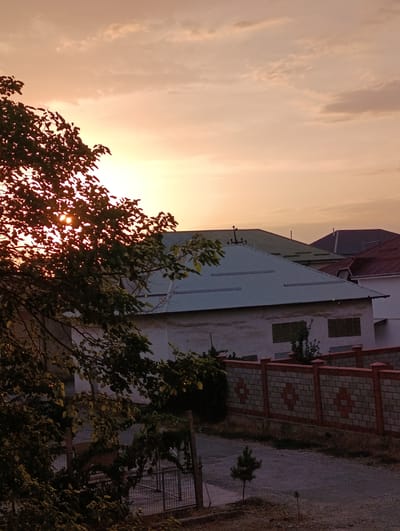 The image depicts a sunset scene in a residential area of Fergana City, Uzbekistan. The sun is low on the horizon, casting a warm, orange glow across the sky, which is partially covered by scattered clouds. In the foreground, the silhouette of a leafy tree with branches extending across the frame obscures a portion of the view. Through the leaves, the sun's rays are visible, creating a lens flare effect.
Behind the tree, several houses with distinct rooflines are visible. One house in the mid-ground has a light-colored, corrugated metal roof. Another house further back has a dark, possibly green, roof, and a third house in the distance has a red tiled roof. The houses appear to be of varying architectural styles common in residential areas.
A decorative brick wall with repeating diamond patterns runs horizontally across the lower portion of the image, separating the properties from a paved pathway or road. The pathway is dark and appears to be made of asphalt or gravel, with some dry grass and small plants growing along its edges. Two very small pine saplings are visible near the pathway. The overall atmosphere of the image is tranquil and serene, typical of a peaceful evening in a suburban setting. The time of day is clearly sunset, indicated by the warm lighting and the low sun. There is no visible text in the image.