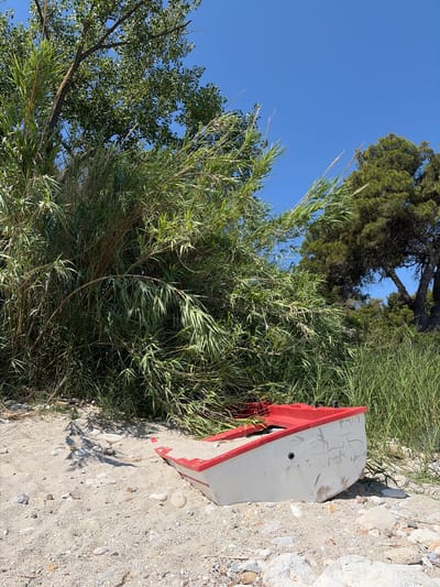 This media file depicts an outdoor scene with a clear blue sky and lush green vegetation, including trees and tall grasses. In the foreground, a red and white object, possibly a piece of discarded equipment or signage, lies on a sandy and rocky ground. The object appears to be weathered, with some graffiti or writing on its surface. The writing includes the characters "F.710" and some illegible words that appear to read "EVERYWHERE". The scene is bathed in sunlight, suggesting it is daytime, likely during fair weather. The setting appears to be a natural or semi-natural environment, possibly a roadside or a less-maintained area near a body of water, given the presence of reeds and sandy soil. There are no people visible in the image. The overall impression is one of a natural landscape with a touch of human impact in the form of discarded material.