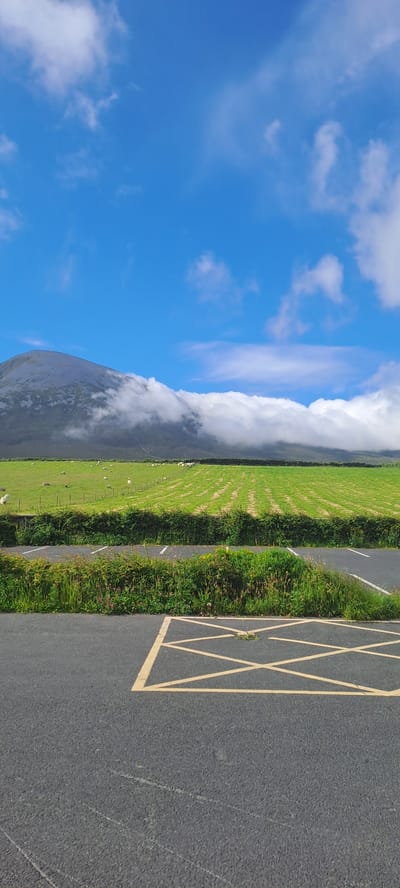 The image shows a scenic landscape in Pier Road, Ireland, under a bright blue sky with scattered white clouds. In the foreground, a paved asphalt surface features yellow markings forming a diamond shape, typical of a no-parking zone. This area is bordered by dense green shrubbery. Beyond this, a neatly manicured green field stretches out, divided into sections by what appear to be rows of crops or mowed grass. Scattered across this field are several sheep. Further in the background, a large mountain slope is visible, partially obscured by a thick layer of white clouds that hug its base. The mountain itself is green and appears to have some lighter colored patches, possibly snow or rock. The overall scene depicts a rural Irish countryside setting, with a focus on the natural landscape and agricultural land.