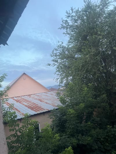 The image captures a view of rooftops and trees against a cloudy sky in Qaskeleñ, Kazakhstan. In the foreground, a section of a dark, angled roof juts into the upper left corner of the frame. Below it, a weathered, corrugated metal roof with prominent rust streaks covers a building. To the right of this metal roof, a building wall made of light-colored stucco is visible, partially obscured by lush green foliage from trees.

Dominating the right side of the image is a large tree with dense, leafy branches that extend upwards and outwards, partially obscuring the sky. In the mid-ground, a prominent triangular facade of a building, painted a light peachy-pink, rises above the metal roof. It features horizontal siding and a circular vent near the peak. Beyond the buildings and trees, distant mountains are faintly visible under the overcast sky, suggesting the geographical context of Qaskeleñ. The overall atmosphere is somewhat muted due to the cloudy weather. There are no people or animals present in the scene.