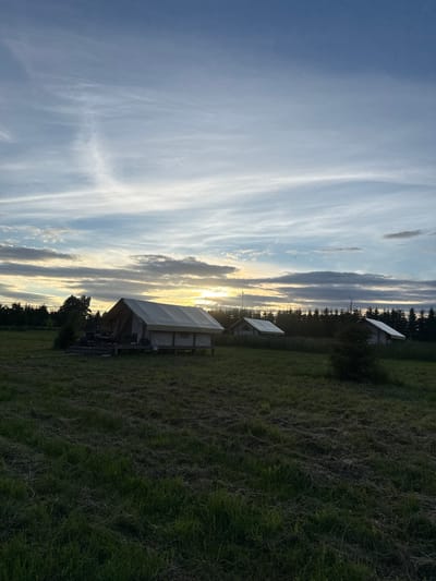 The image depicts a glamping site at dusk in Zamosh'e (Zaklinskoe S/P), Russia. Three canvas tents with elevated wooden platforms are situated in a grassy field, bordered by a dense forest of coniferous trees in the background. The sky is a gradient of blue, transitioning to hues of orange and yellow near the horizon, indicating the setting sun. Wispy clouds streak across the sky, some illuminated by the fading sunlight. In the foreground, the grass appears somewhat dry and mowed. The central tent has a person seated on its deck, working on a laptop, with several chairs and a small table nearby. The overall atmosphere is serene and suggests a peaceful, natural setting.