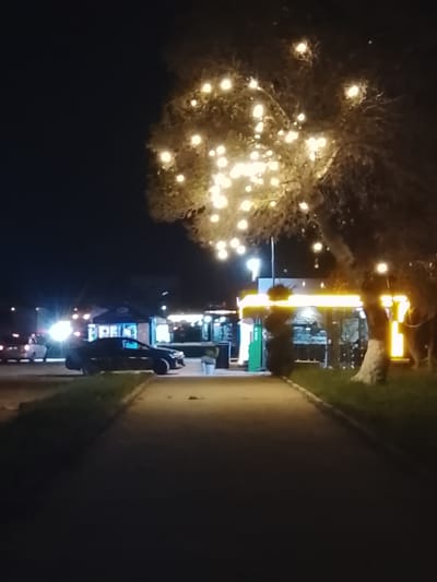 At night in Sabir Rakhimov, Uzbekistan, a paved pedestrian walkway stretches into the distance, flanked by trees, one of which is adorned with string lights. A dark car is parked near several brightly lit food stalls or shops. Other vehicles and faint lights are visible further away in the background.