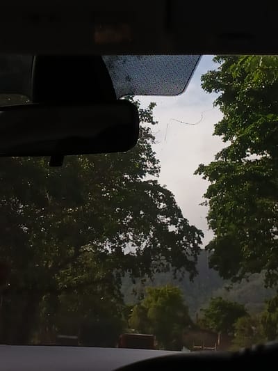 The image is taken from inside a vehicle looking out through the windshield. In the foreground, the dark interior of the car's dashboard and part of the rearview mirror are visible. The windshield itself has a few faint, wavy lines on its surface.
Beyond the windshield, the scene is dominated by lush green foliage. Large trees with dense canopies frame the view. The sky is overcast and a pale gray. In the distance, a hazy, mountainous landscape can be seen, covered in trees. The overall impression is one of a drive through a natural, possibly rural, environment, with a hint of urban elements in the very bottom center where some indistinct structures or vehicles are partially visible, suggesting proximity to a road or settlement. There is no indication of the specific location in Tacarigua, Venezuela from the visual evidence presented.
