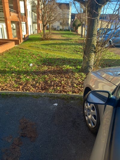 This image displays a residential street scene in Sallaumines, France, under natural daylight conditions. In the immediate foreground on the right, the front quarter of a light-colored sedan is parked on asphalt pavement, showing its front right wheel with a silver hubcap, the side mirror, and a portion of the hood. A dark tree trunk with bare branches is positioned to the left and slightly behind this vehicle. The asphalt surface in the foreground contains scattered debris, including a small pile of dark organic matter and a small white, crumpled object. To the left of the asphalt, a concrete curb separates it from a grassy strip. This grass is partially covered with numerous brown fallen leaves, and another small white object is visible on the grass. To the far left, a multi-story apartment building constructed of red brick, featuring white window frames and balconies with white railings, is partially visible. A dirt path runs centrally through the grassy area, extending into the background. Several deciduous trees with bare branches line this path and the grassy median. In the background, a lighter-colored residential building is visible at the end of the path, and a dark-colored car is parked on the street further down on the right. No individuals are present in the scene.