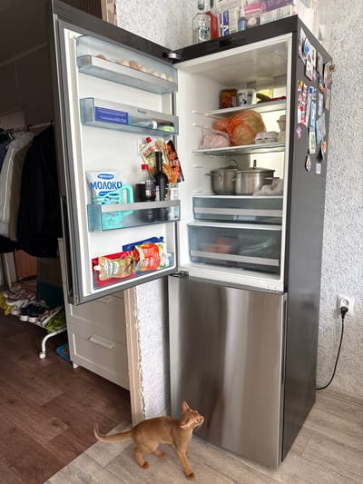 The image shows an open refrigerator in what appears to be a kitchen. The refrigerator is filled with various food items, including eggs, bags of produce, jars, bottles, and cartons. There are also two metal pots inside the top compartment. On top of the refrigerator door, several magnets and what look like postcards are displayed. The floor is wooden, and a cat is lying on the floor next to the refrigerator, looking up at the door. The scene suggests a domestic setting, likely in a home. The refrigerator appears to be in use, with food items organized in shelves and drawers. The overall impression is of a functional kitchen space. There is a wall socket with a plug in the wall behind the refrigerator. The text visible includes "Fresh Control" and "Fruit & Vegetable" on the drawers, and "Молоко" on a carton of milk. Other text is in a foreign language and is not easily decipherable.