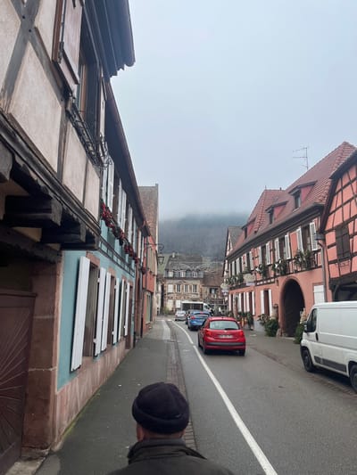 An overhead-view photograph captures a street scene in Châtenois, France, under an overcast sky. In the immediate foreground, the back of a person wearing a dark knit cap and a dark jacket is visible, positioned on the left side of the frame on a paved sidewalk.
To the left, a multi-story building features a half-timbered upper facade with light beige infill and dark timber beams. The lower section is painted light blue/teal with red-brown stone accents at the base. Multiple windows are fitted with closed white shutters, and red spherical decorations are strung below them. A dark wooden door or gate is partially visible at the street level.
The asphalt road, marked with a continuous white line down its center, runs through the image, sloping slightly upward into the distance. A white delivery van is parked or stationary on the far right of the road. Further down, a red hatchback (Peugeot, license plate partially visible as "AP 205 VT") is stationary in a line of vehicles, followed by a blue hatchback and at least two other cars.
To the right of the road, a prominent building with a red-tiled roof and pink-orange facade displays dark half-timbering. It features several windows with white shutters and greenery decorations below them, along with a large arched entrance. Beyond this, additional buildings with traditional architecture line the street.
In the background, a tree-covered mountain range is visible, partially obscured by mist or low clouds, under a uniformly gray, cloudy sky.