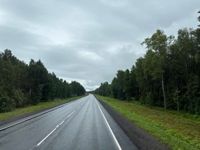 The image depicts a wet asphalt road with white lane markings, suggesting recent rainfall. The road stretches into the distance, flanked by dense green forests on both sides. The sky is overcast with gray clouds. The scene is natural and appears to be a rural or highway setting, likely outside of a city center. There are no people or visible structures other than the road and trees. The image is taken from a moving vehicle's perspective, looking forward down the road.