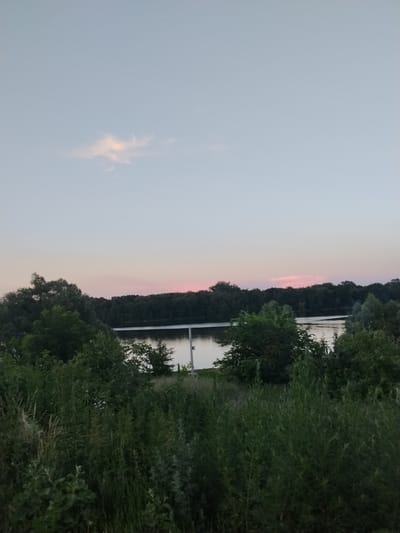 The image depicts a serene natural landscape, likely at dusk, in Mikhailovka, Russia. The scene is dominated by a wide, calm body of water, possibly a river, reflecting the soft colors of the sky. Dense, dark green trees line the far bank of the water, forming a thick forest. In the foreground, lush green vegetation, including tall grasses and various bushes, creates a sense of depth and abundance.

The sky above is a pale blue, fading to a soft pink hue near the horizon, indicative of sunset. A solitary, wispy cloud is visible in the upper left portion of the sky, tinged with a pale orange color. A thin, horizontal band of pink light stretches across the horizon above the treeline, a classic feature of a twilight sky.

There are no people or discernible objects in the immediate foreground or midground, emphasizing the natural beauty of the location. A faint light reflection, possibly from a distant structure or light source on the water, is visible on the surface of the water towards the right side of the image. The overall mood is peaceful and tranquil, evoking a sense of calm. No text is visible in the image.