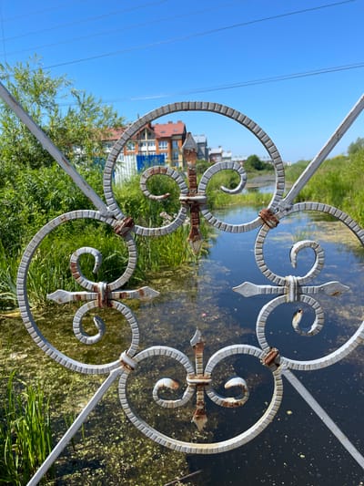 The image shows a decorative metal fence in the foreground, with a body of water and greenery in the background. The fence is made of wrought iron with ornate scrollwork and fleur-de-lis motifs. It appears to be weathered and shows signs of rust.

Through the fence, a calm, dark body of water is visible, reflecting the bright blue sky and surrounding green vegetation. The water's surface is dotted with small, light-colored specks, possibly reflections or debris. Tall, lush green grass lines the edge of the water. In the distance, behind the greenery, are several buildings with red-tiled roofs and multi-story structures with white-framed windows. The sky is a clear, vibrant blue, indicating a sunny day.

The image is taken from a low angle, looking upwards through the fence. The composition is dominated by the fence's patterns, with the natural scenery and buildings forming a blurred backdrop. The orientation of the image is slightly tilted. The overall mood is serene, with the bright sunlight and calm water suggesting a pleasant day in a semi-urban or suburban environment. There is no visible text in the image. The location context provided is Zelenogradsk, Russia.