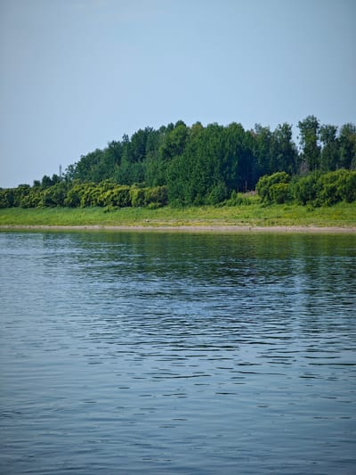 The image shows a wide body of calm water in the foreground, with a gentle ripple pattern on its surface. The water reflects the sky and the lush green vegetation on the opposite bank. The bank is lined with a strip of sandy shore, followed by a dense line of trees and shrubs in various shades of green. The sky above is a clear, pale blue. A telecommunications tower is visible in the distance on the left side of the treeline. The scene appears to be a natural landscape with no visible structures or human activity other than the distant tower.