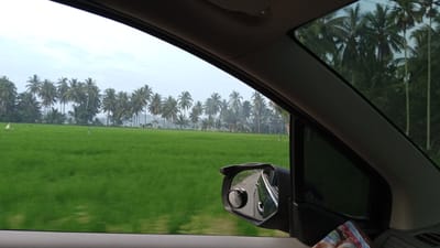 The image, captured from inside a vehicle, shows a view of a lush green field with a line of palm trees in the background. The sky is overcast. A side mirror is visible, reflecting the road and the car's interior. The scene appears to be in Uleejalan, Indonesia, a location known for its agricultural landscape and tropical flora. There are no people visible in the image. The overall impression is one of natural beauty and tranquility.