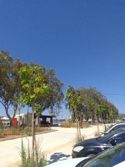 The image depicts a sunny day scene in the Municipal Unit of Elefsina, Greece, likely along a coastal road or promenade. The foreground shows several parked cars, with a black car in focus, its headlights and front fender visible. Behind the cars, a paved pathway is lined with young trees and shrubs. Further back, there are wooden benches, a small building with a red door, and more mature trees that form a backdrop. The sky is a clear, bright blue. In the distance, part of a port or harbor can be seen with ships and industrial structures, suggesting the urban setting of Elefsina, a port city known for its industrial and maritime activities. There are no people prominently visible in the immediate foreground or midground.