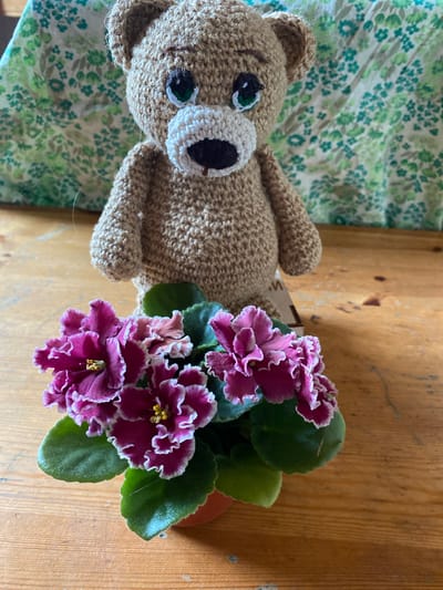 An overhead shot shows a crocheted teddy bear standing behind a potted African violet plant with deep purple and white-edged flowers. The bear is light brown with green and white eyes and a cream-colored muzzle. The plant has dark green leaves and is in a small orange pot. Both the bear and the plant are on a wooden surface, possibly a table or shelf. In the background, a green floral patterned fabric is visible. The overall setting is indoor, likely a home. The specific location in Zelenodol'sk, Russia, cannot be determined from the image.