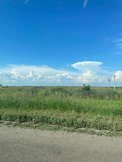 The image shows a wide, flat landscape under a bright blue sky with scattered white clouds. In the foreground, a dirt road runs horizontally across the bottom of the frame. Beyond the road is a field of tall, green grass with some patches of smaller, darker green plants. In the middle ground, a line of power lines stretches across the horizon, supported by utility poles. In the distance, a few industrial structures and smokestacks are visible. The sky is a dominant feature, with a large, anvil-shaped cloud formation prominent in the center-right of the frame. The overall impression is one of an open, rural or industrial area under a clear, daytime sky. The location is the city of Primorsky, Russia.