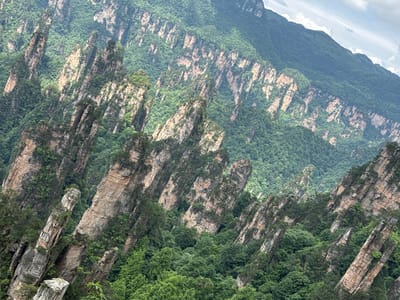 The image captures a landscape of towering rock formations interspersed with lush greenery. These rock pillars, varying in height and thickness, have stratified surfaces. The dense vegetation is predominantly green, covering the lower slopes and clinging to the upper reaches of the rock formations. The sky is overcast, with a portion of the cloudy sky visible.
The location is likely the Zhangjiajie National Forest Park in Wulingyuan, China, due to the distinctive geological formations.