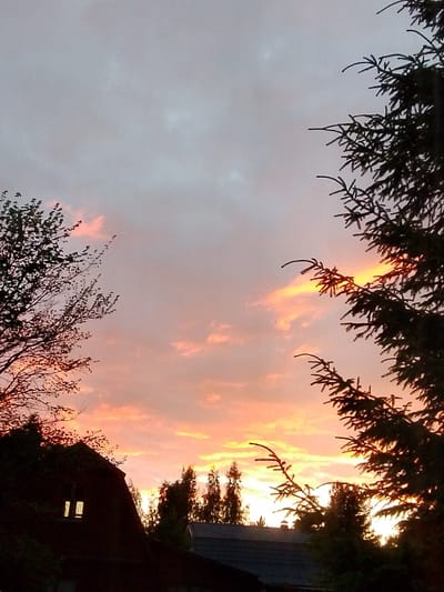A vertical, full-frame shot captures a dramatic sunset over what appears to be a residential area, possibly in the city of 1-Go Maya, Russia. Silhouetted against the vibrant sky are the dark shapes of trees and buildings. On the left, a deciduous tree with sparse leaves frames the sky, its branches reaching upwards. To the right, a dense evergreen tree with sharp, needle-like foliage dominates the foreground.
In the mid-ground, the roofline of a dark, gabled building is visible, with a single lit window glowing warmly. Beyond this, a line of evergreen trees stands silhouetted against the bright horizon. The sky is a canvas of soft grays and pinks, interspersed with fiery orange and yellow hues where the sun is setting. Wispy clouds catch the last rays of light, creating a dynamic and colorful display. The overall atmosphere is one of peaceful twilight, with the natural beauty of the sunset contrasting with the human-made structures below.