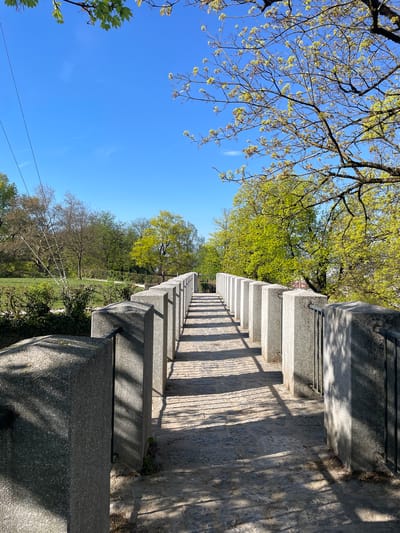 The image depicts a stone balustrade along a walkway in Ljubljana, Slovenia, with trees and blue sky visible. The balustrade consists of gray stone pillars casting shadows on the stone walkway. The vegetation includes trees with light green leaves, some bare branches, and a grassy area below the walkway. The sky is a clear blue. There are also power lines in the bottom left corner.