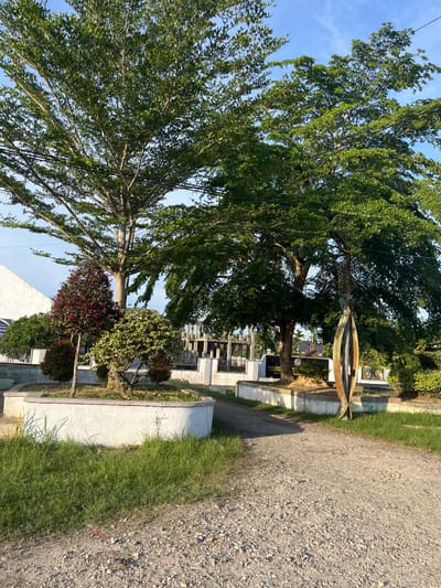 The image depicts an outdoor scene in Langsa, Indonesia, bathed in the warm light of what appears to be late afternoon or early morning. A large tree with lush green foliage dominates the left side of the frame, its branches reaching towards a clear blue sky. Beside the tree, a rustic, boat-like metal sculpture is visible, adding an artistic element to the landscape.

In the background, a series of white structures with dark accents are arranged in rows, suggesting a cemetery or memorial park. Some of these structures have ornamental trees and bushes planted around them. The ground on the right side of the image is covered with gravel, and a strip of vibrant green grass runs along the edge of the paved area and the white structures.

A narrow dirt or gravel path runs parallel to the grassy area, leading the eye further into the scene. The overall impression is one of tranquility and perhaps remembrance. The light casts long shadows, indicating a low sun angle. There are no people visible in the image. Some faint text is visible on a sign in the background, but it is too indistinct to read. The presence of electrical wires suspended from poles indicates a populated area.