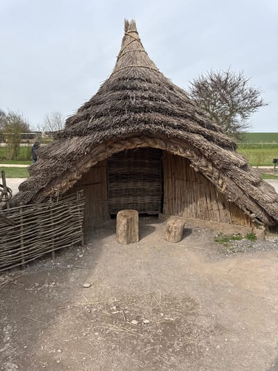 The image depicts a reconstructed Neolithic-style hut, situated at the Stonehenge Visitor Centre in Amesbury, United Kingdom, under an overcast sky. The structure features a large, conical thatched roof constructed from densely packed straw or reeds, tapering to a pointed apex secured with bound material. The walls below the eaves are made of vertical reeds or slender poles interwoven horizontally with branches, creating a wattle-like appearance. A recessed entrance, centrally located, is fronted by a woven wattle barrier. To the immediate left of the hut, a low, woven branch fence section extends horizontally.
In front of the hut's entrance, two roughly cut, cylindrical wooden log sections serve as stools, resting on compacted dirt and gravel ground with sparse dry vegetation. In the background, beyond the hut to the left, a person wearing dark clothing stands partially obscured near a light-colored bus and several bare deciduous trees. To the right of the hut, additional bare trees are visible, and the landscape extends into a gently sloping green field under a pale grey sky. No interactions are visible. The scene suggests a historical reconstruction or educational exhibit.