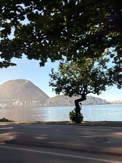 The image depicts an urban waterfront scene in Rio de Janeiro, Brazil, specifically identifiable as Lagoa Rodrigo de Freitas with Corcovado Mountain in the background.
The foreground, blurred by motion, shows a paved road with white dividing lines and a textured pedestrian sidewalk to its left. Overhanging tree foliage, also blurred, frames the top of the image. A single, dark-trunked tree with a gnarled lower branch stands on a grassy bank between the road and the water, slightly right of center.
In the midground, a calm body of water, Lagoa Rodrigo de Freitas, extends across the frame. A lone individual in a white racing scull or rowboat is visible on the water, paddling away from the viewer towards the left.
The background features a cityscape of numerous multi-story residential buildings lining the far shore, nestled at the base of two prominent mountains. The most significant is a large, steep, granite mountain on the left, identified as Corcovado Mountain, partially obscured by a light atmospheric haze. Its lower slopes are vegetated. To the right, a smaller, heavily forested mountain rises behind additional city structures.
The sky is clear and pale blue, suggesting either morning or late afternoon light, which casts subtle shadows on the foreground road and illuminates the right side of Corcovado Mountain.
