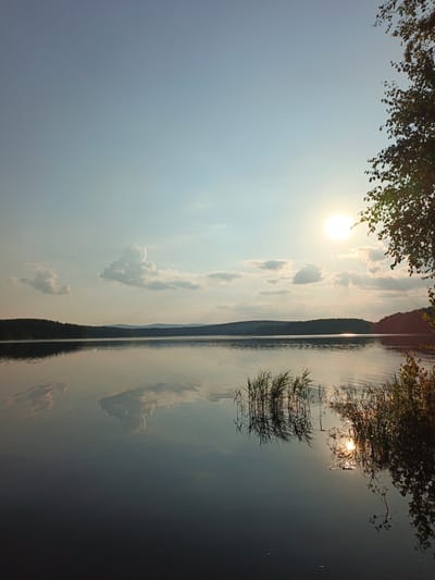 The image depicts a serene lake scene at sunset in Nepryakhinskoye Sel'skoye Poseleniye, Russia. The sky is a soft gradient of pale blue to light grey, with a few scattered, fluffy white clouds. The sun, a bright disc, is positioned in the upper right quadrant of the image, casting a warm glow and reflecting on the water. The surface of the lake is calm and glassy, mirroring the sky, clouds, and the distant treeline. The treeline consists of a dark, undulating forest that forms the horizon. In the foreground, on the right side of the frame, is a cluster of tall reeds and a leafy branch from a tree, silhouetted against the bright sky and the sun's reflection. The water's surface is disturbed by gentle ripples, particularly around the reeds, where the sun's reflection is broken into shimmering patterns. The overall atmosphere is peaceful and tranquil, characteristic of a late summer evening by a lake. No people or specific structures are visible in the image, emphasizing the natural landscape.