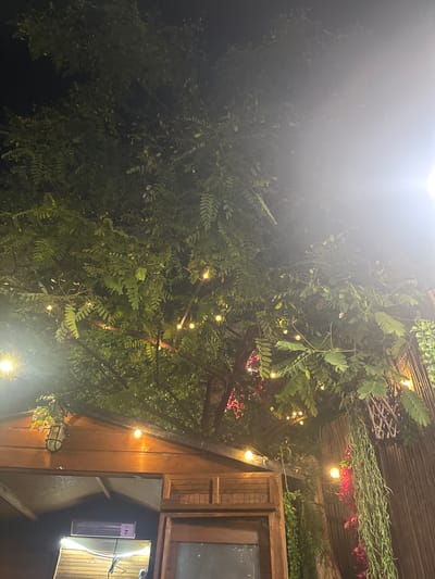 This image depicts an outdoor scene at night, likely a patio or garden area with a wooden structure resembling a small building or bar. The structure has a gabled roof and wooden walls. A fluorescent light fixture and a heater are visible inside the structure. String lights are draped through the branches of a large tree, casting a warm glow. Lush green foliage hangs from the branches and along the side of the wooden structure, interspersed with some red flowers and a woven hanging basket. The background is dark, suggesting it is nighttime, and a bright light source is visible in the upper right corner, possibly an outdoor lamp.
While the image is rich in detail about the ambiance, it does not contain any elements that would specifically place it in Alicante/Alacant, Spain. There are no landmarks, signs, or other identifying features to confirm the location.