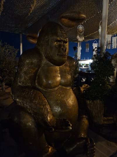 The image depicts a large, bronze statue of a gorilla seated outdoors at night. The statue is centrally positioned and appears to be the primary focus of the scene. The gorilla is depicted in a realistic style, with detailed musculature and facial features. It is sitting with its legs bent and its hands resting on its lap.
The background suggests an outdoor venue, possibly a restaurant or entertainment area. Overhead, there is a textured canopy or ceiling made of woven material, from which decorative elements like dreamcatchers and white macrame hangings are suspended. To the right of the gorilla, there is lush green foliage in a woven basket, and further back, a glimpse of some structures or buildings can be seen, illuminated by artificial light, with a dark blue sky above. The lighting in the scene is dim, with spotlights highlighting the gorilla statue. There are no people visible in the image.
The description of the location as Sveti Vlas, Bulgaria, is external information and cannot be verified solely from the visual content of the image.