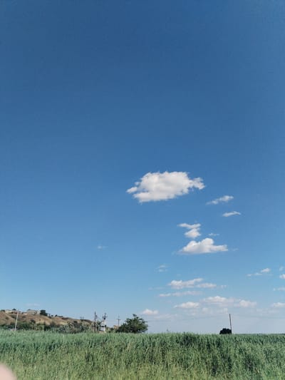 The image captures a rural landscape under a clear blue sky with scattered white clouds. In the foreground, a dense field of tall green grass stretches across the frame. Beyond the grass, a slightly elevated terrain is visible, dotted with a few trees and buildings. Several utility poles with wires are also present, indicating infrastructure in the area. The overall scene suggests a peaceful, natural setting in Bilousivka, Ukraine, possibly during the daytime.