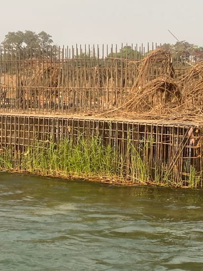 A metal grid structure extends vertically along the image. The left side is filled with dry brush and debris, transitioning to bare metal. Green vegetation grows along the right side of the grid, bordering a body of water with visible surface ripples. Trees and foliage are visible in the background behind the structure. The sky is overcast with a hazy appearance.