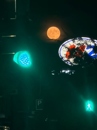The image depicts a nighttime urban scene, likely in Novara, Italy, characterized by a dark sky illuminated by artificial lights and a large, orange moon. In the foreground, a green traffic signal is prominently visible, its light illuminating the surrounding area. To the right, a pedestrian crossing signal shows a green illuminated figure of a person. In the background, a large circular sign with blue and red elements is partially obscured by dark foliage. The overall impression is one of a city at night, with elements of traffic control and celestial observation. There are no discernible individuals actively engaged in any specific actions within the frame.