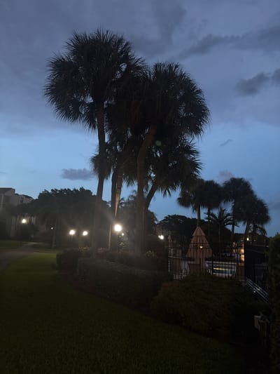 The image depicts a twilight scene in Delray Beach, Florida, featuring several palm trees silhouetted against a darkening blue sky with scattered clouds. In the background, a building with multiple stories is visible on the left, while a fenced-in pool area with lounge chairs and umbrellas is situated on the right. Several lampposts are lit, casting a warm glow on the surrounding greenery and pathway. The foreground consists of a well-maintained grassy lawn.