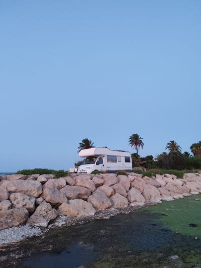 A white camper van is parked on a rocky embankment at dusk, with the Mediterranean Sea visible in the distance. The camper van is positioned on a stone-lined area, with a line of palm trees and dense vegetation behind it. The sky is a clear, pale blue, indicating either dawn or dusk. The foreground is a rocky shore with some debris and green algae-covered water. The image was taken in Els Poblets, Spain. There are no people visible in the image.