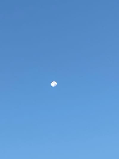 A clear, light blue sky fills the frame, its color consistent and devoid of clouds. A solitary, small moon hangs suspended in the center of the view. The moon appears nearly full, its surface subtly detailed with lighter and darker areas.