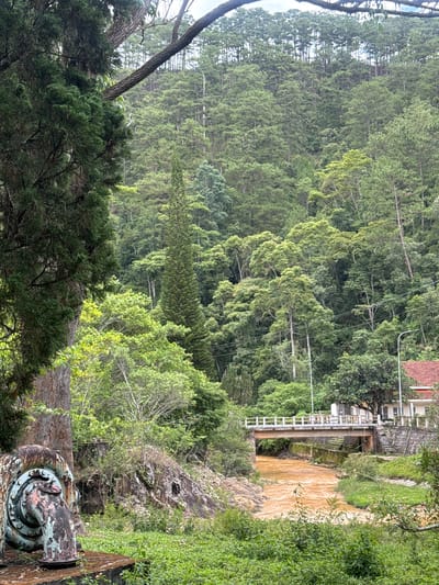 This image depicts a lush, hilly landscape in Păng Tiêng 1, Vietnam. The scene is dominated by dense green vegetation covering the slopes, with a mix of trees of varying heights and foliage density.
A small, muddy river flows through a channel, with a bridge spanning across it. A building with a red tile roof is visible.
In the foreground, there is a tree and an old, rusty piece of machinery, possibly part of a hydroelectric system. The overall impression is that of a natural landscape with signs of human intervention and infrastructure.