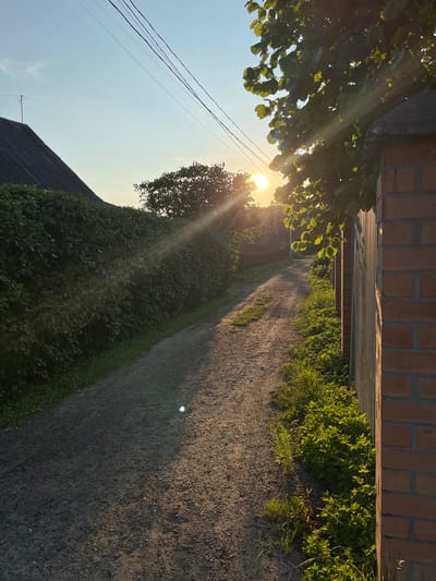 The image depicts a gravel path winding through a lush green garden or yard, bordered by a dense hedge on the left and a brick wall with metal fencing on the right. Sunlight streams down from the upper left, casting long shadows and creating lens flares. The sun is low in the sky, suggesting either early morning or late afternoon. The leaves of a tree in the foreground are illuminated by the sun, with rays of light visible filtering through them. A roofline of a dark-tiled structure is visible in the lower left corner, along with electrical wires and an antenna. The overall mood is peaceful and serene, enhanced by the warm, natural light. The setting appears to be a residential area in Pushkino, Russia, given the context. There is no visible text in the image.