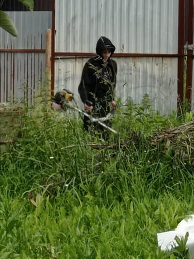 In a yard with tall green grass and weeds, a person wearing a black hooded sweatshirt is using a string trimmer to cut the vegetation. The string trimmer has a yellow and black body and a long silver pole. The person is standing in front of a corrugated metal fence that appears to be made of weathered silver metal panels with some reddish-brown rust streaks. To the left of the fence, there is a tall, thin wooden post. The scene suggests an outdoor, possibly rural or semi-rural, setting. The lighting and the lush green of the plants indicate it is daytime, likely in the warmer months. The person's face is obscured by the hood of their sweatshirt, making it difficult to discern any specific emotions. The overall impression is one of outdoor yard work or maintenance.