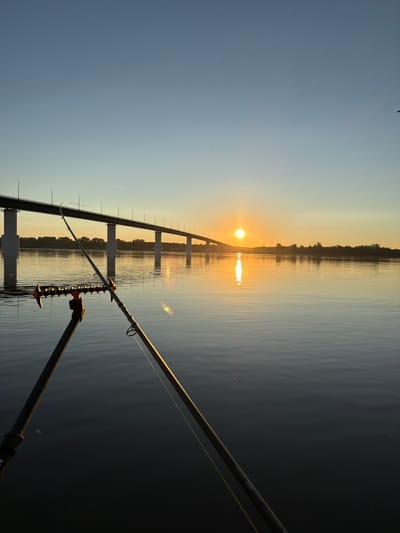 In Tarasovo, Russia, at dusk, a fishing rod and reel rest on a stand, poised over calm water. The setting sun, a bright orb near the horizon, casts a golden reflection on the river's surface. In the distance, a long, elevated bridge stretches across the water, its lights beginning to glow as day transitions to night. The sky is a gradient of soft blue and warm yellow, with a few faint clouds. The overall scene evokes a sense of peaceful solitude and the quiet beauty of nature.