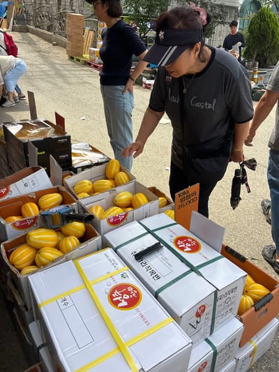 The image shows a street market scene, likely in Incheon, South Korea, with a vendor and customers. In the foreground, several boxes of Korean melons (chamoe) are displayed on a table. The melons are bright yellow with white stripes. One box in the center has a roll of clear tape attached to its side. Behind the melons, there are more stacked boxes, some black and some brown, possibly containing more produce or other goods. A woman in a dark grey t-shirt and a black visor is looking down at the melons. She is wearing a black crossbody bag and holding two folded black umbrellas in her right hand. To her left, another woman in a navy blue shirt and light blue jeans is standing with her hands on her hips, looking towards the left of the frame. In the background, a man in a black t-shirt is visible, holding a plastic bag. The ground is paved, and there is a metal railing and stone wall in the upper background, suggesting an outdoor market setting. The lighting indicates it is daytime.