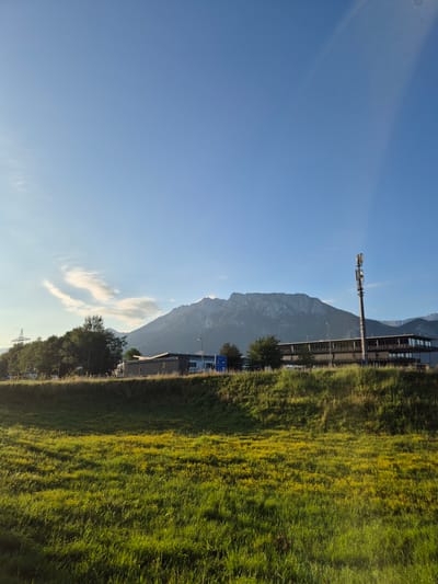 The image depicts a rural scene with a wide, clear blue sky dominating the upper half of the frame. In the background, a large, rugged mountain range stretches across the horizon, its peaks appearing jagged and rocky, some possibly snow-capped, though the lighting does not clearly indicate this. Below the mountains, a low-lying building with a modern, dark facade and a row of large windows runs horizontally across the mid-ground. A cell tower stands tall to the right of the building, featuring multiple antennae.
In front of the building, a line of trees, dense and green, separates the building from the foreground. The ground in front of the trees is a sloping grassy embankment, mostly obscured by shadows. The foreground is a lush, green meadow bathed in sunlight, with patches of small yellow wildflowers scattered throughout the grass, creating a vibrant, textured carpet. The sun appears to be low in the sky, casting long shadows and highlighting the textures of the grass. The overall impression is one of a peaceful, natural landscape juxtaposed with man-made structures.