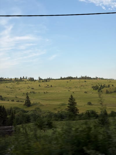 The image depicts a pastoral landscape under a clear blue sky dotted with wispy white clouds. A thick black wire runs vertically along the left edge of the frame, separating the sky from the expansive green hillside. The hillside is covered in a mix of grass and scattered trees, with darker green patches indicating denser tree cover. The terrain appears gently rolling, with some subtle undulations and faint lines that suggest pathways or agricultural divisions. A few small structures, possibly houses or farm buildings, are visible in the distance on the upper part of the hillside. The right side of the image shows a blurred section of dense, dark green foliage, likely a forest, suggesting a moving perspective, perhaps from a vehicle. The lighting indicates it is daytime, likely late afternoon or early evening due to the soft quality of the light. The scene evokes a sense of tranquility and natural beauty. There is no visible text in the image.
