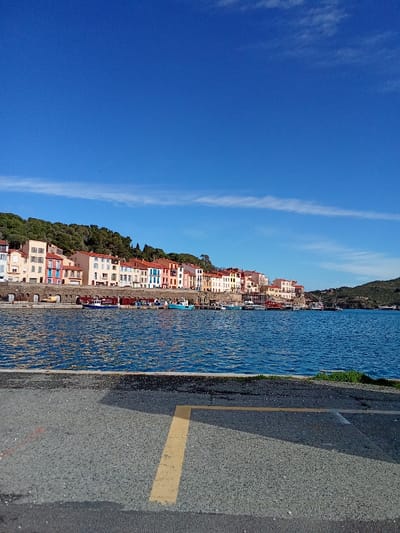 The image presents a static, panoramic view of the Port-Vendres waterfront in France under a clear, deep blue sky featuring minimal high-altitude wispy white clouds. The foreground consists of dark gray asphalt pavement with visible aggregate, marked by a partial yellow 'L' shaped line on the right-center and a large dark shadow extending diagonally from the lower right.

The mid-ground is dominated by calm, dark blue water with surface ripples, where approximately a dozen small to medium-sized boats are moored along a stone-faced quay. These boats exhibit various colors, including blue, red, and white.

Behind the quay, a continuous line of two-to-four-story buildings with pastel-colored facades (including cream, light orange, pink, blue, and yellow) and red tiled roofs forms the town's architectural front. Dense green vegetation and trees cover the hills immediately behind the buildings, extending up the slopes and receding into the background on the right side of the frame. No individuals, explicit actions, or interactions are discernible within the scene.
