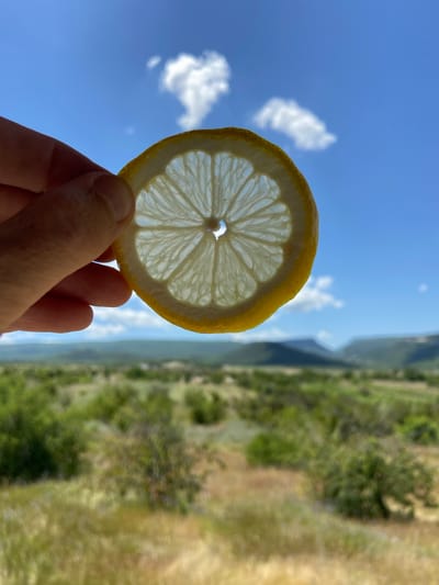 A human hand holds a translucent slice of lemon against a bright blue sky with scattered white clouds. The lemon slice reveals its internal structure, with segments and seeds visible. In the background, a blurred landscape of green hills and vegetation stretches towards the horizon. The image appears to have been taken outdoors on a sunny day, with the bright sky and natural scenery suggesting a location in the countryside, potentially near Krasnomakskoye rural settlement in Ukraine, given the context.