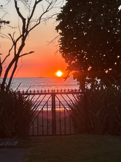 This image depicts a sunset over the Pacific Ocean, observed from a coastal property in Cabo Velas, Costa Rica. In the foreground, a dark metal gate with spiked finials across its top edge separates a manicured green lawn and dense, spiky green foliage from a sandy beach and the ocean beyond. To the left, the silhouette of a bare-branched tree extends upwards, while a densely leafed tree obscures the upper right portion of the frame. A wooden pathway or decking segment is visible in the bottom-left corner of the grass area.
The sun, a brilliant orange orb, is centered above the horizon line, casting a strong orange and red glow across the sky and reflecting on the water's surface, creating a shimmering path towards the viewer through the gate's bars. The ocean exhibits dark blue and purple tones, with gentle waves breaking onto the shore. A single sailboat, depicted as a dark silhouette with a mast and boom, is visible on the horizon to the left of the sun. No individuals or active interactions are present in the scene.