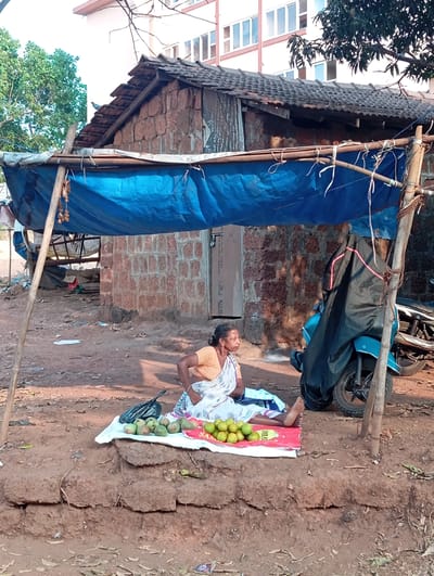 The image captures a vibrant outdoor scene in Arambol, India, during daylight hours, likely morning or late afternoon due to the warm, natural lighting. The primary subject is a woman, dressed in a light-colored saree, sitting barefoot on the reddish-brown, dusty ground. She appears to be a street vendor, with piles of green guavas and bright green limes or lemons displayed on white and red cloths in front of her. Partial text, "SAM" and "IFFENS," is visible on the red cloth.

She operates from under a makeshift shelter crafted from a blue tarp, which is strung between sturdy wooden poles, providing shade from the sun. Directly behind her stands a rustic, single-story shack built with rough-hewn reddish-brown stone blocks and topped with a traditional dark tiled roof. In the background, beyond the shack, a modern multi-story building with numerous windows contrasts sharply with the immediate surroundings, hinting at the area's mixed architectural landscape. To the woman's right, a light blue motorcycle, partially covered by a black tarp, is parked near one of the shelter's support poles. The scene portrays a common roadside vending setup, characterized by its simplicity and the everyday commerce it facilitates in a semi-urban or rural Indian environment.