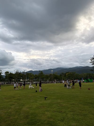 The image depicts a cloudy day at a grassy park, likely located in the Chang Phueak district of Chiang Mai, Thailand, given the presence of mountainous terrain in the background. The park is populated with numerous individuals, many of whom are accompanied by dogs. People are engaged in various activities, including walking their pets, interacting with them, and socializing. Some dogs are on leashes, while others appear to be roaming freely within the designated area. The park features well-maintained green lawns and is bordered by trees and a road with parked vehicles in the distance. There are also tents and structures suggesting amenities or event setups. The sky is characterized by dramatic, overcast clouds, with pockets of lighter tones indicating potential breaks in the cloud cover.
